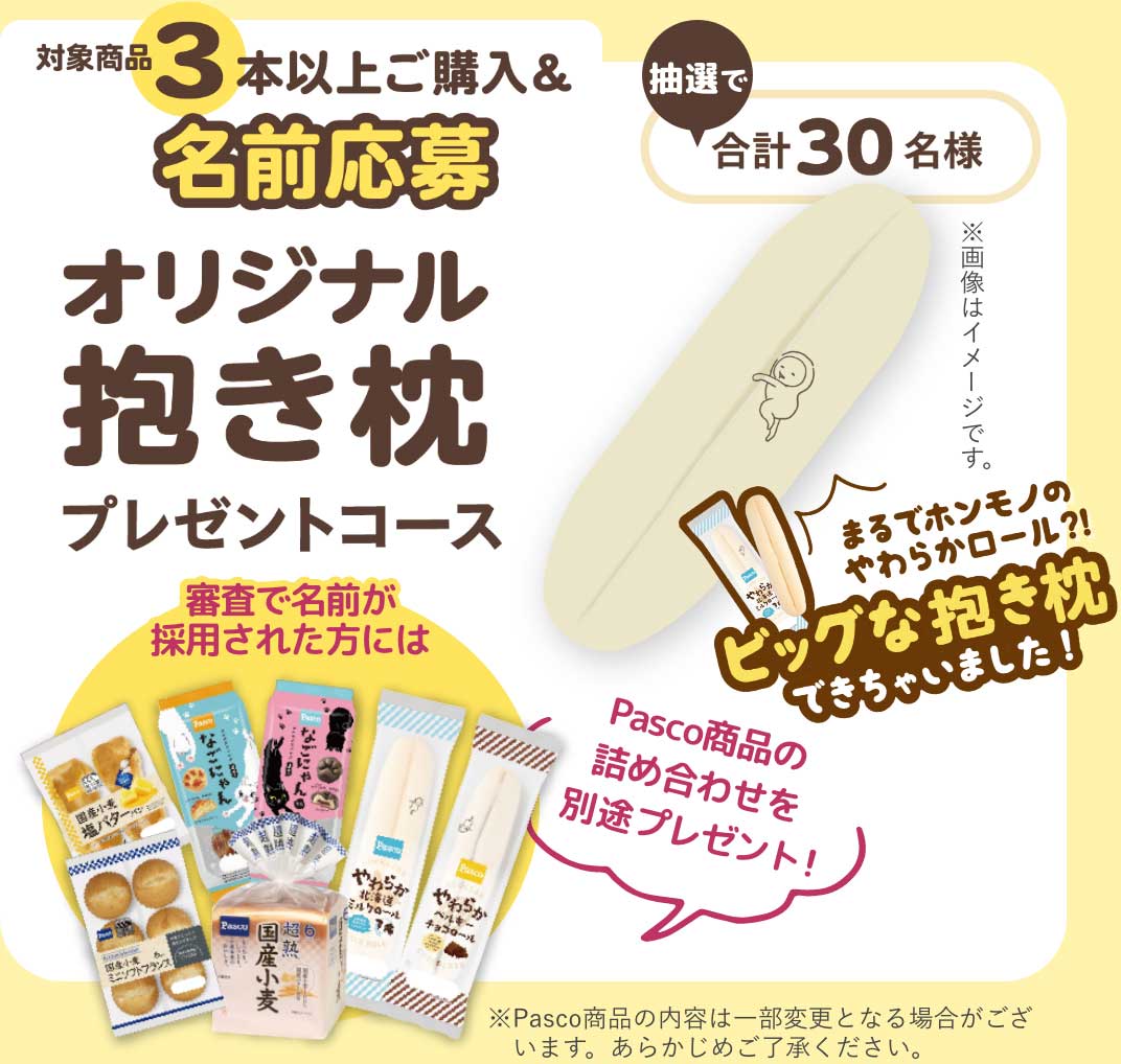 対象商品3本以上ご購入&名前応募 抽選で合計30名様 オリジナル抱き枕プレゼントコース